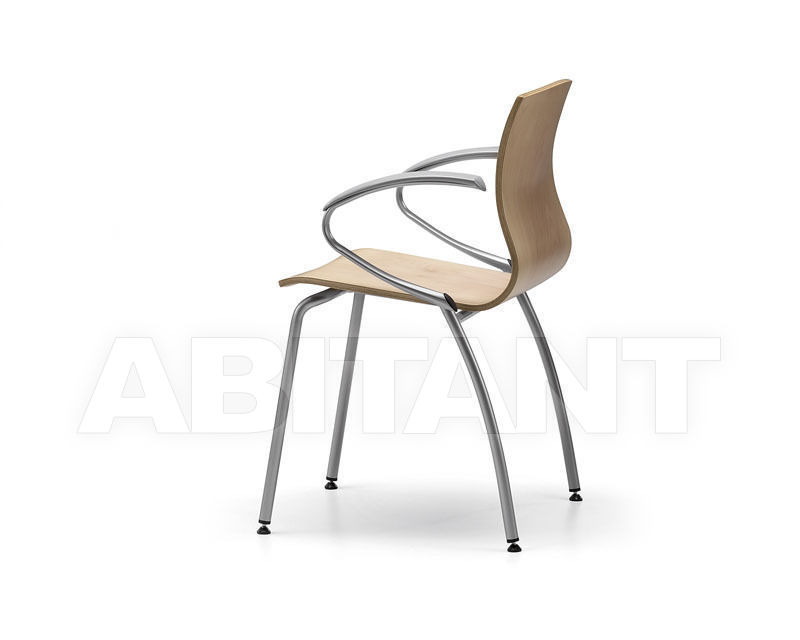 Купить Стул с подлокотниками WEBWOOD Talin 2015 WEBWOOD 359-BEIGE