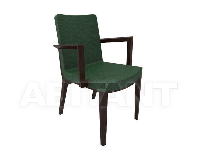 Купить Стул с подлокотниками MORITZ TON a.s. 2015 323 623 67044