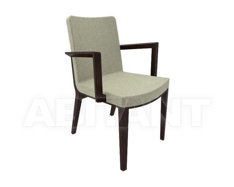 Купить Стул с подлокотниками MORITZ TON a.s. 2015 323 623 714