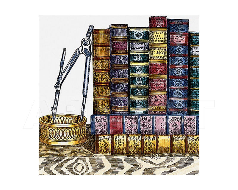 Купить Плитка настенная Ceramica Bardelli  DESIGN LIBRERIA 11