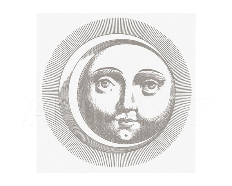 Купить Плитка настенная Ceramica Bardelli  DESIGN Soli e Lune Platino Bianco Extra  5