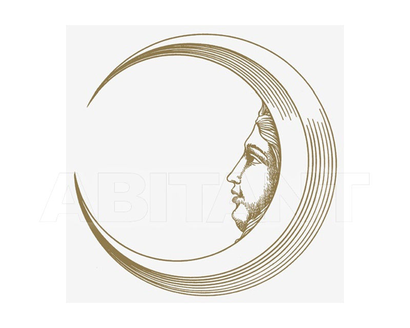 Купить Плитка настенная Ceramica Bardelli  DESIGN Soli e Lune Oro Bianco Extra 6