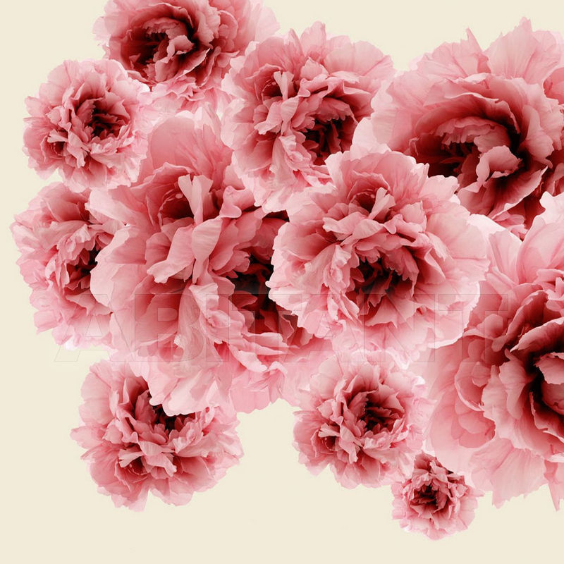 Купить Виниловые обои BLOOM Wall&Decò  CONTEMPORARY WALLPAPER WDBL0601