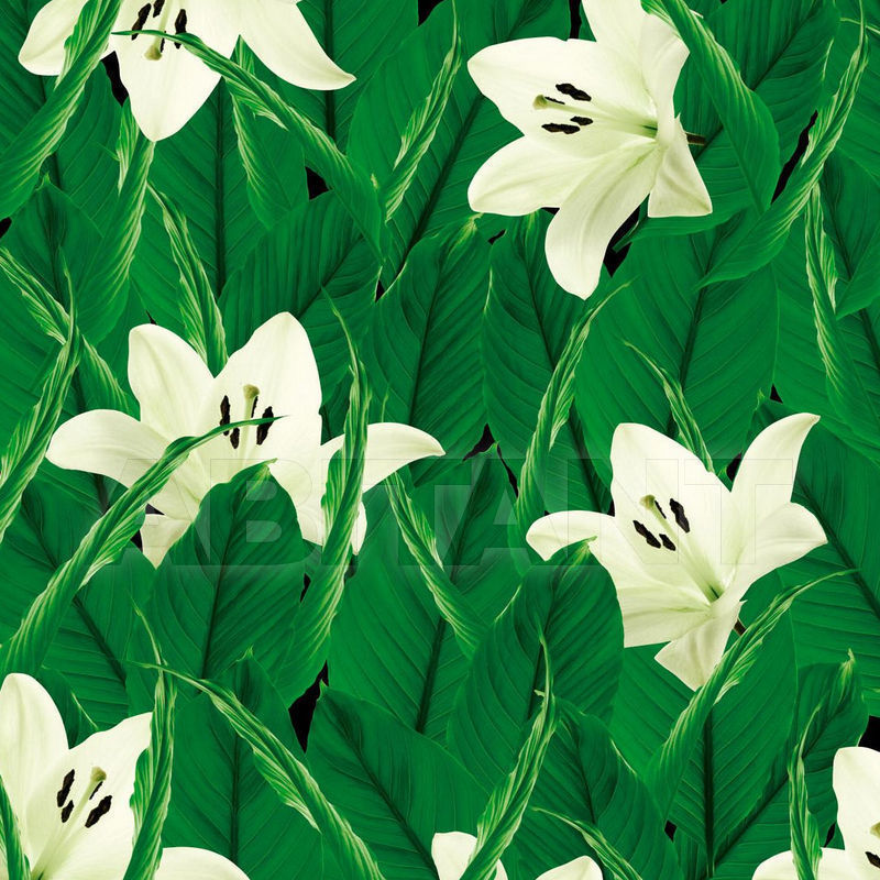 Купить Виниловые обои TROPICS Wall&Decò  CONTEMPORARY WALLPAPER WDTR0601