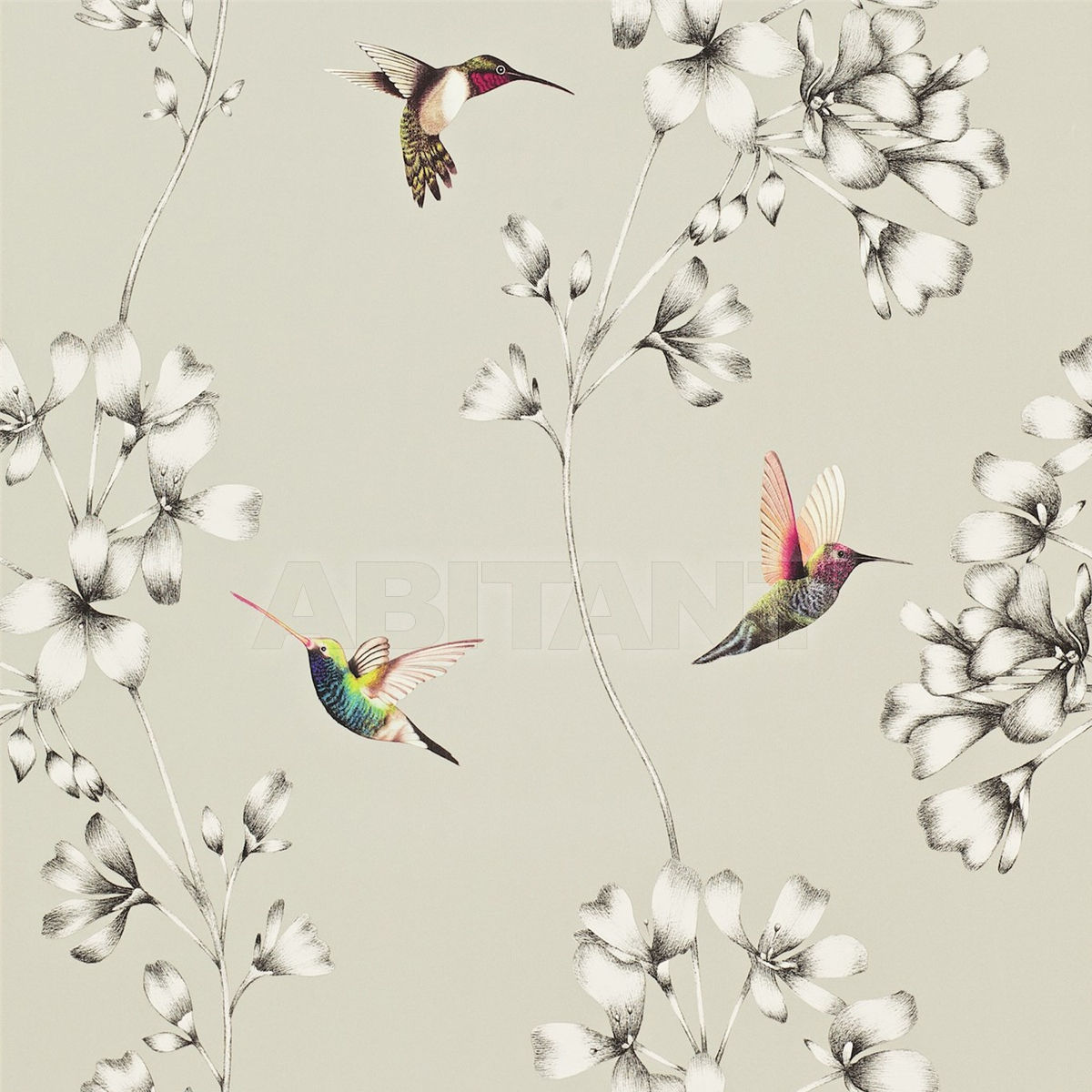 Купить Флизелиновые обои Amazilia  Style Library Amazilia Wallpapers HAMA111062