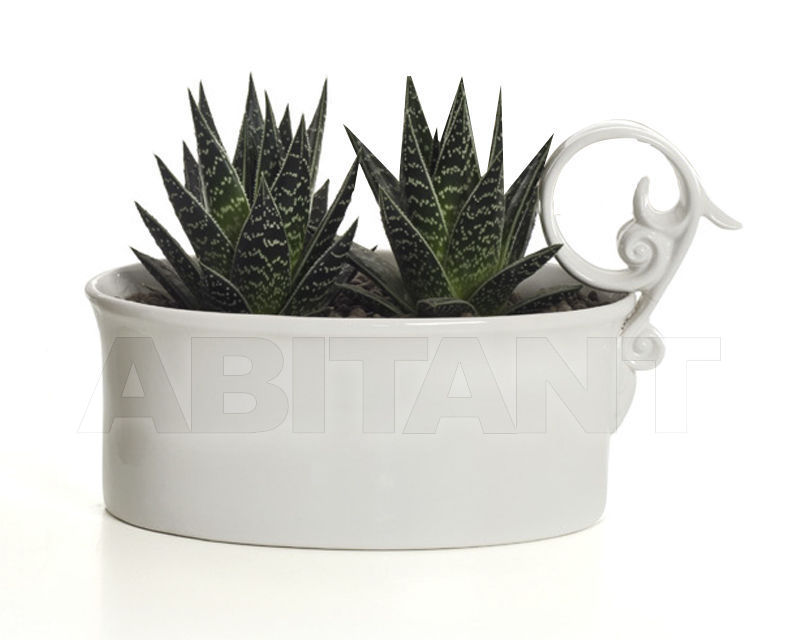 Купить Кашпо Pool REBIRTH by Ceramiche ML UNCONVASE V38