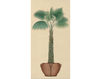 Бумажные обои Iksel  Decorative Panels Potted Palms PT 04 Восточный / Японский / Китайский