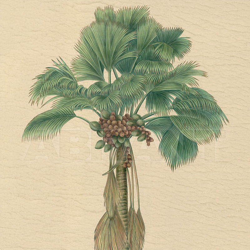 Купить Бумажные обои Iksel  Decorative Panels Potted Palms PT 05