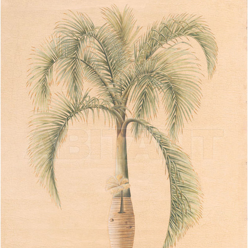 Купить Бумажные обои Iksel  Decorative Panels Potted Palms PT 11