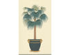 Бумажные обои Iksel  Decorative Panels Potted Palms Regina Palm 2 Восточный / Японский / Китайский