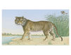 Бумажные обои Iksel  Decorative Panels Animals AN 6 Восточный / Японский / Китайский