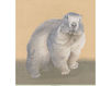 Бумажные обои Iksel  Decorative Panels Animals MARMOT 2 Восточный / Японский / Китайский