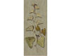 Бумажные обои Iksel  Decorative Panels Herbier Herb 9 Восточный / Японский / Китайский