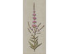 Бумажные обои Iksel  Decorative Panels Herbier Herb 5 Восточный / Японский / Китайский