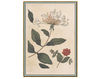 Бумажные обои Iksel  Decorative Panels Renaissance Herbier RH 1 Восточный / Японский / Китайский