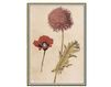 Бумажные обои Iksel  Decorative Panels Renaissance Herbier RH 3 Восточный / Японский / Китайский