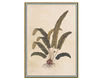 Бумажные обои Iksel  Decorative Panels Renaissance Herbier RH 4 Восточный / Японский / Китайский