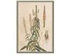 Бумажные обои Iksel  Decorative Panels Renaissance Herbier RH 5 Восточный / Японский / Китайский
