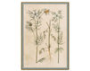 Бумажные обои Iksel  Decorative Panels Renaissance Herbier RH 7 Восточный / Японский / Китайский