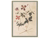 Бумажные обои Iksel  Decorative Panels Renaissance Herbier RH 33 Восточный / Японский / Китайский