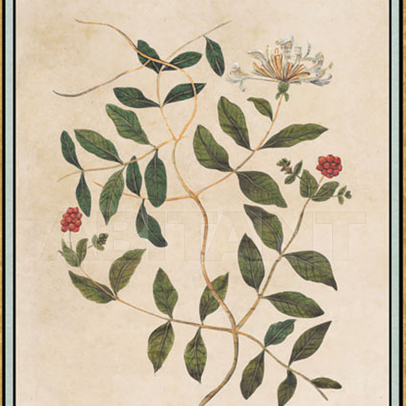 Купить Бумажные обои Iksel  Decorative Panels Renaissance Herbier RH 34