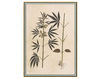 Бумажные обои Iksel  Decorative Panels Renaissance Herbier RH 30 Восточный / Японский / Китайский