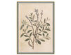 Бумажные обои Iksel  Decorative Panels Renaissance Herbier RH 31 Восточный / Японский / Китайский