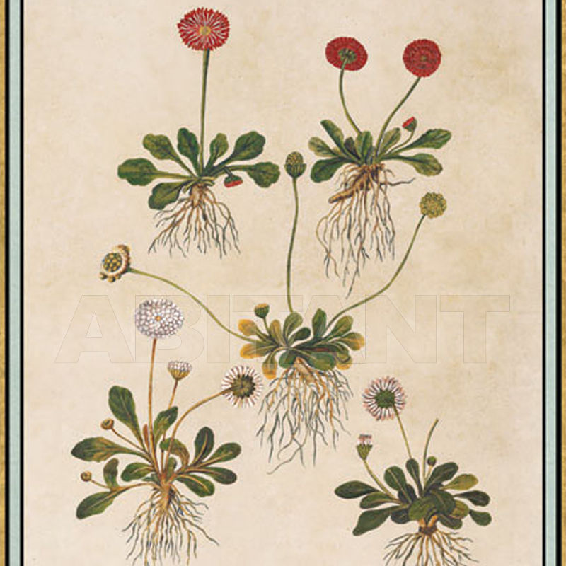 Купить Бумажные обои Iksel  Decorative Panels Renaissance Herbier RH 23