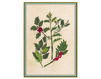 Бумажные обои Iksel  Decorative Panels Renaissance Herbier RH 15 Восточный / Японский / Китайский