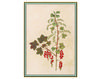 Бумажные обои Iksel  Decorative Panels Renaissance Herbier RH 20 Восточный / Японский / Китайский