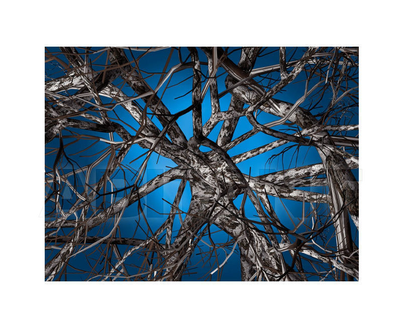 Купить Ковер современный Moooi Carpets Signatures Liquid Birch 200x300