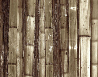Настенная панель Alex Turco Organic Bamboo Jungle Brown