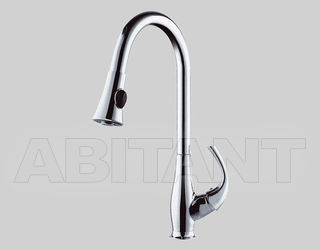 Смеситель для кухни Daniel Rubinetterie 2012 PR21627CR