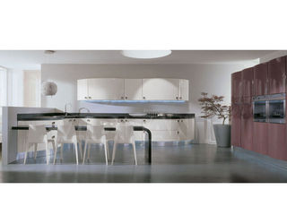 Кухонный гарнитур Aster Cucine Monografia DOMINA 3
