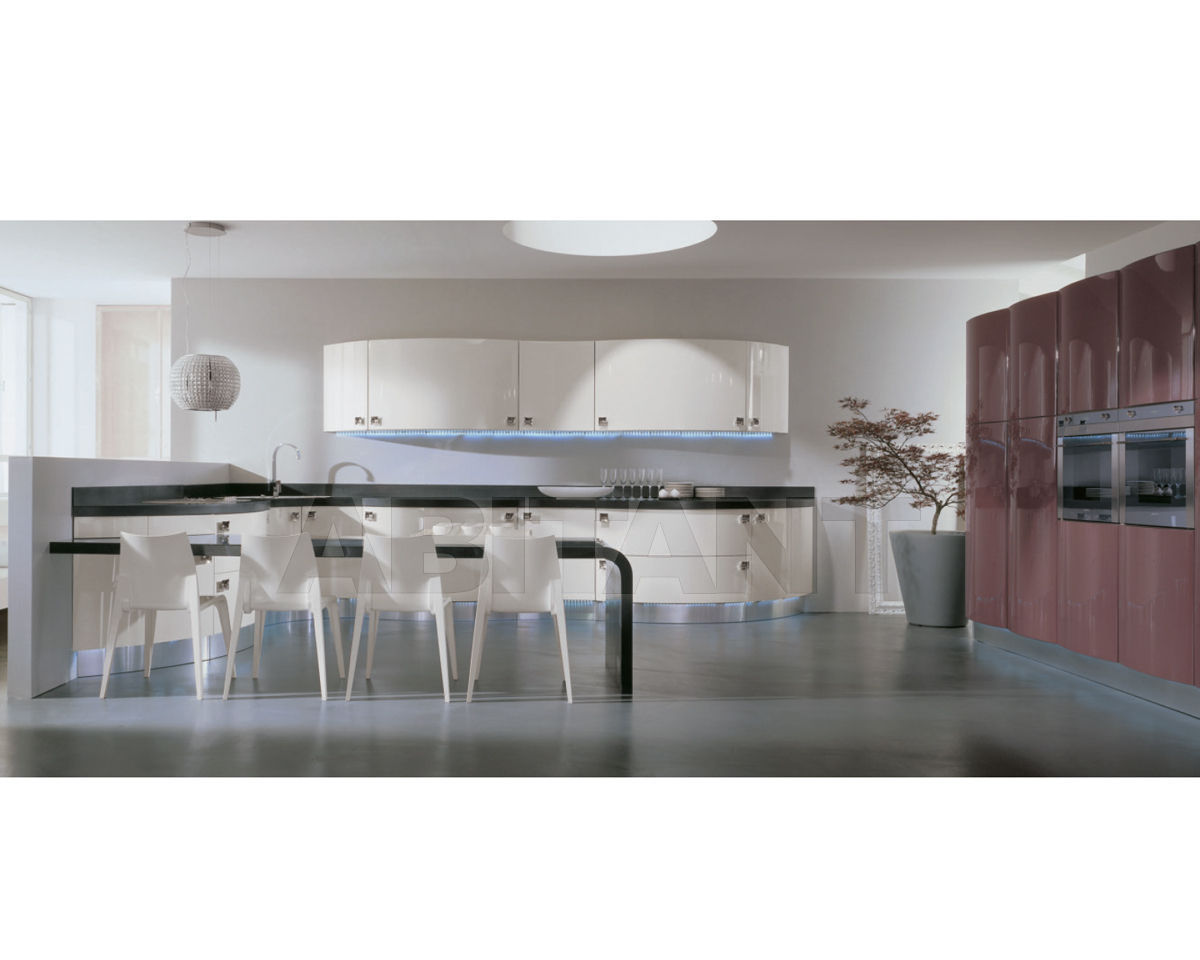 Купить Кухонный гарнитур Aster Cucine Monografia DOMINA 3