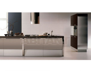 Кухонный гарнитур Aster Cucine Monografia TRENDY SPACE