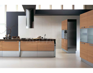 Кухонный гарнитур Aster Cucine Monografia TRENDY WOOD 4