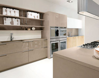 Кухонный гарнитур Aster Cucine Monografia NOBLESSE 2