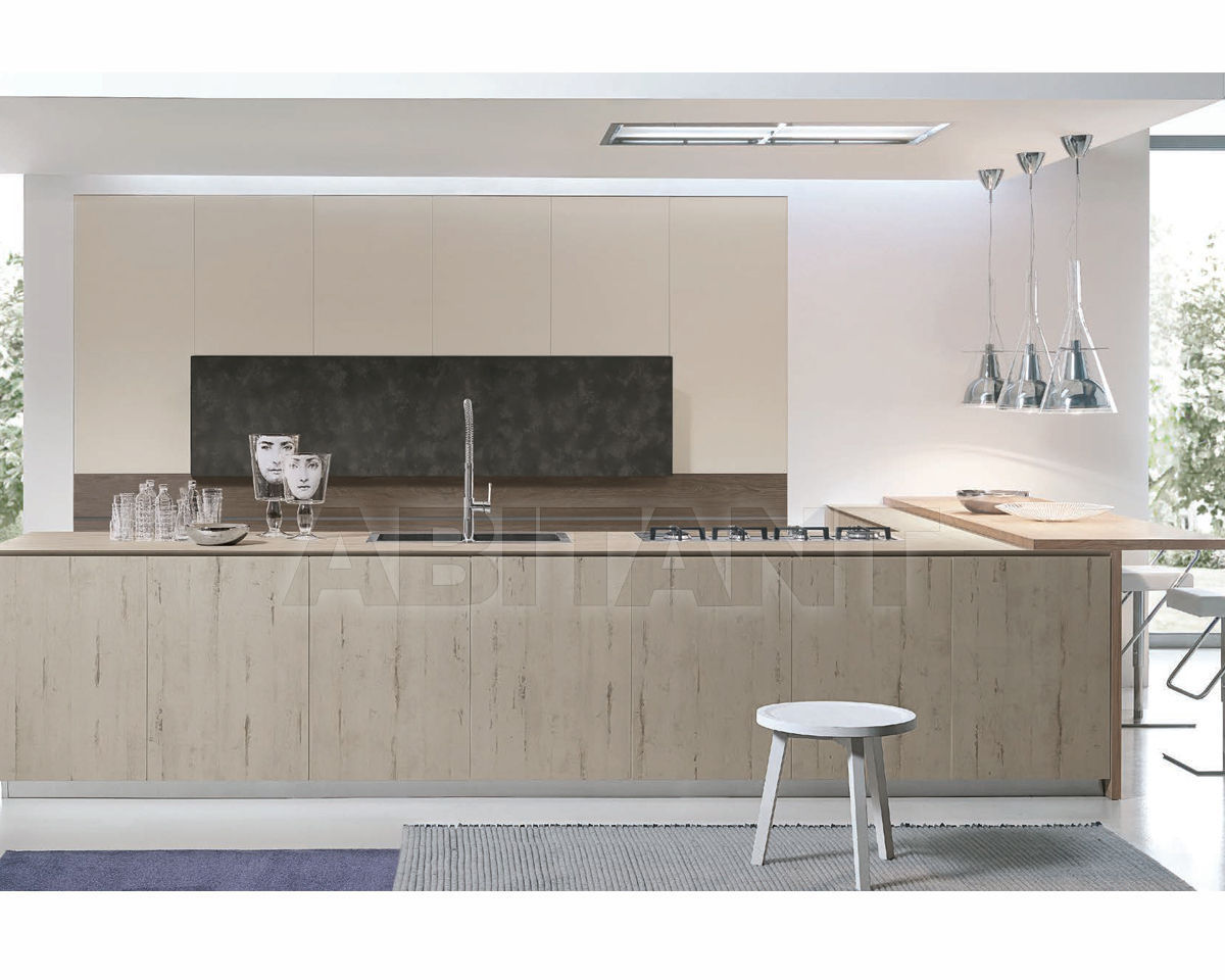 Купить Кухонный гарнитур Aster Cucine Monografia ATELIER 3