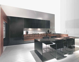 Кухонный гарнитур Aster Cucine Monografia CONTEMPORA 4