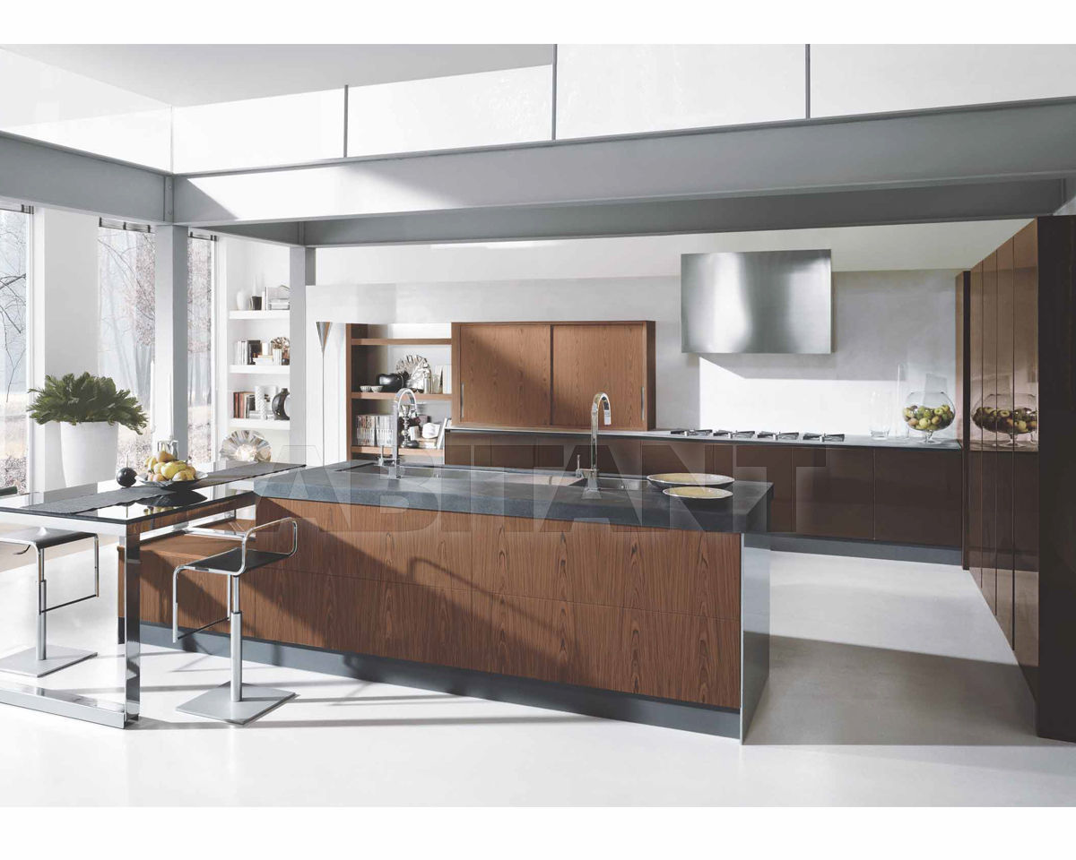 Купить Кухонный гарнитур Aster Cucine Monografia CONTEMPORA 6
