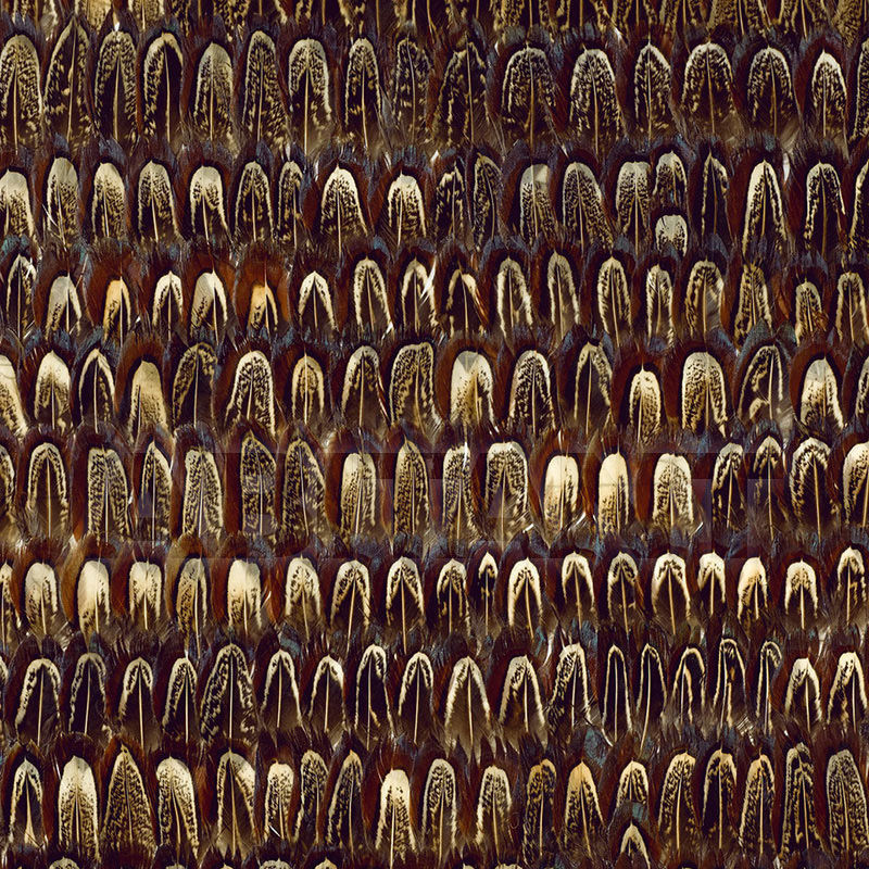 Купить Бумажные обои CAUMSETT F. Schumacher & Co. WALLCOVERINGS 5003970