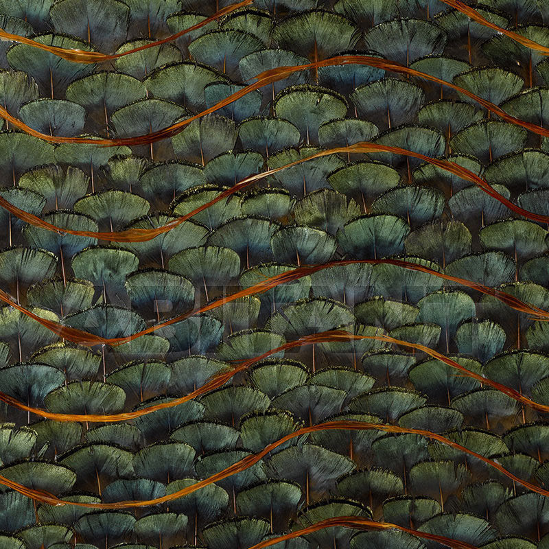 Купить Бумажные обои EMERALD BAY F. Schumacher & Co. WALLCOVERINGS 5003940