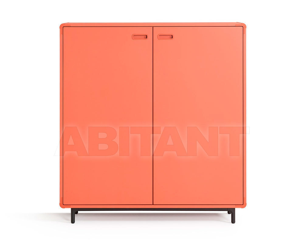 Купить Шкаф Artifort 2017 Extens 2 doors 2