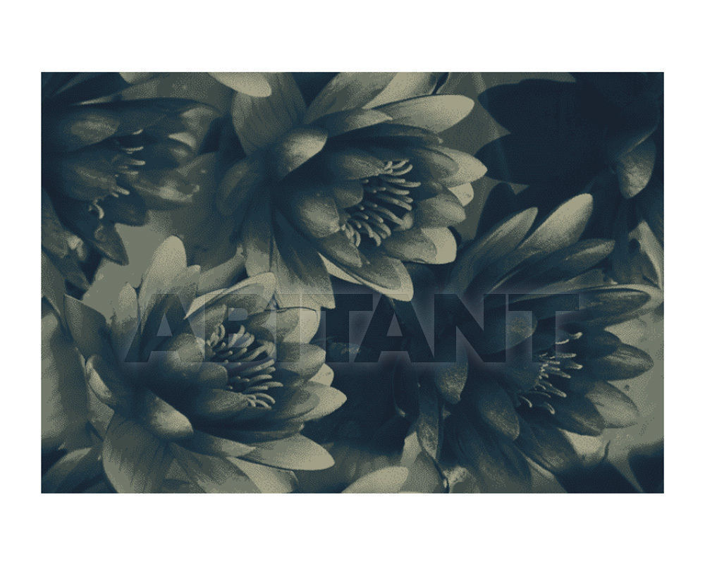 Купить Ковровое покрытие Ege  Wall-to-wall carpets RF52951583