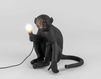 Лампа настольная Seletti Lighting 2017 14922 Современный / Скандинавский / Модерн