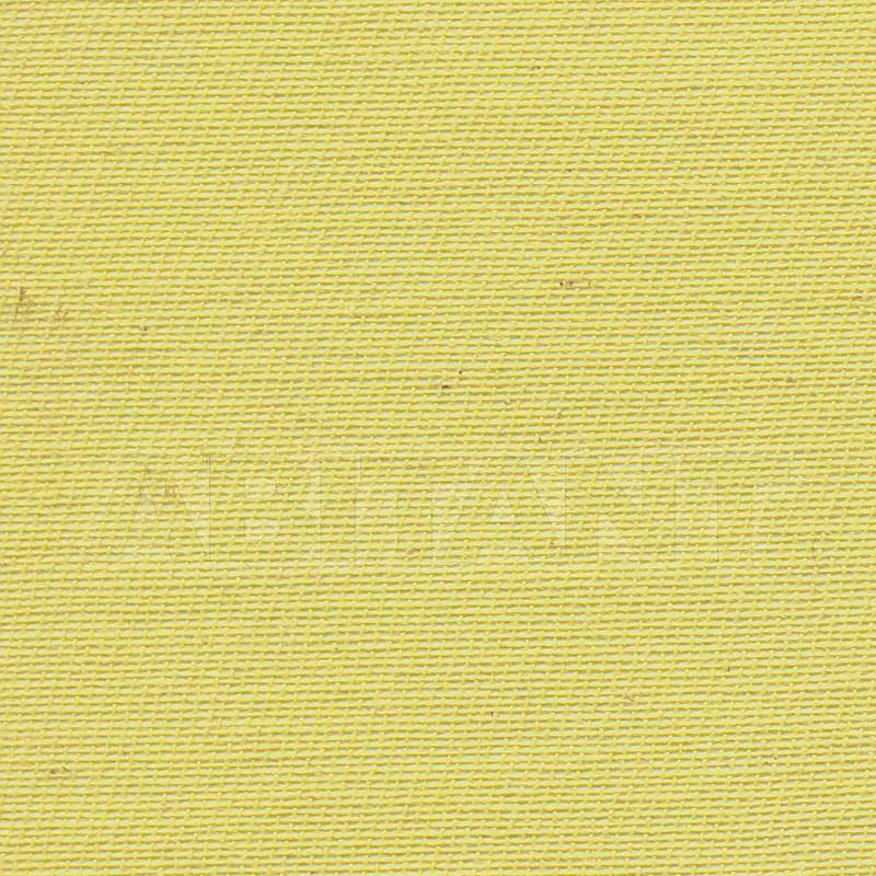 Купить Флизелиновые обои Agena 2017 CALMAPIATTA 58.004