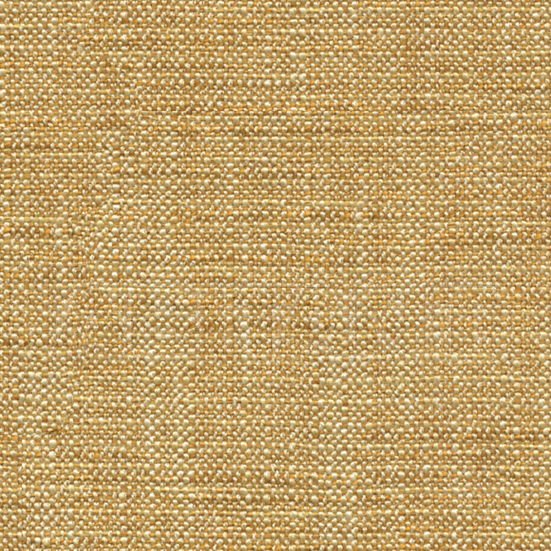 Купить Обивочная ткань THUNDER GOURD Vanguard Furniture Fabric 650198 