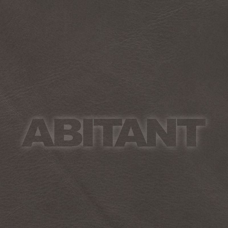 Купить Обивочная ткань ASCEND GREY CLIFF Vanguard Furniture Leather 2699 