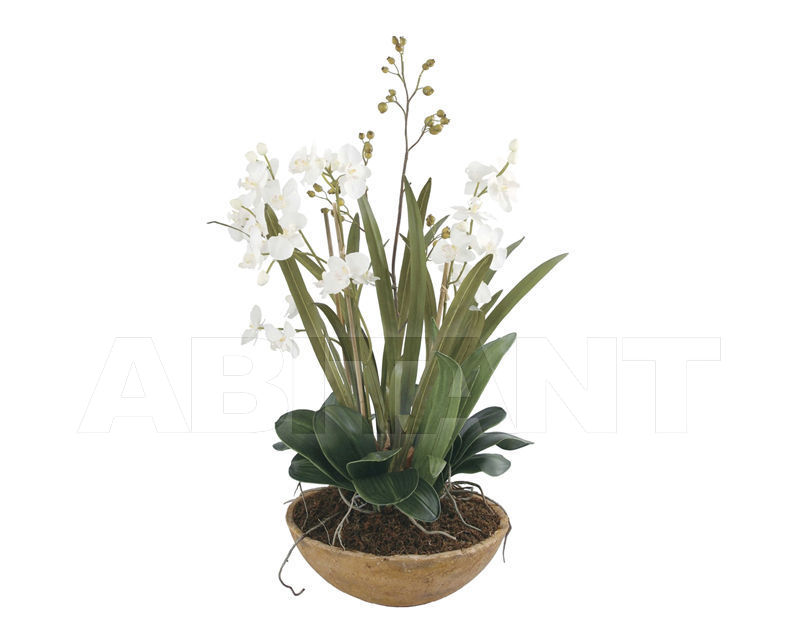 Купить Элемент декора Moth Orchid Planter Uttermost 2018 60039
